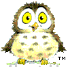 Little Hoot say's : Click on a skill/concept below to find out more
