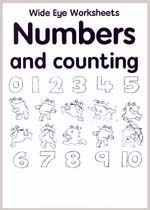 Numbers and counting